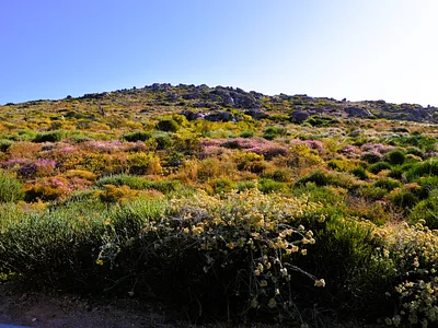 Vacant Land For Sale in St Helena Bay - ynbi.webp