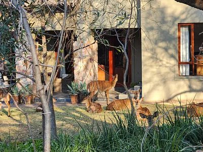 4 Bedroom House For Sale in Heidelberg - img