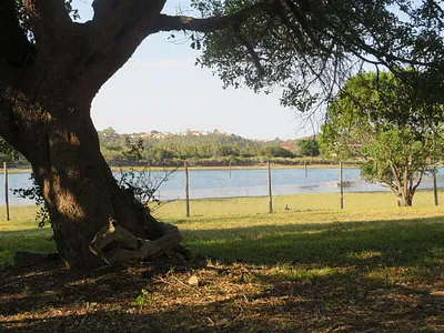 Vacant Land For Sale in Port Alfred - a6Zt.webp