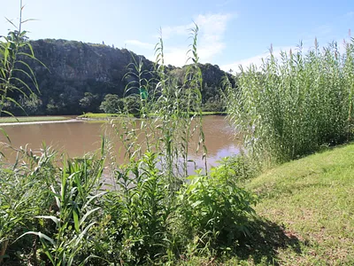 Vacant Land For Sale in East London - ZniD.webp