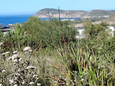 Vacant Land For Sale in Plettenberg Bay - PUx0.webp