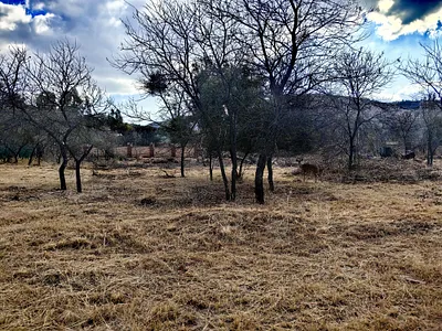 Vacant Land For Sale in Rustenburg - kouT.webp