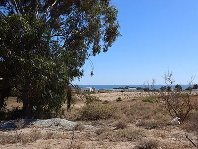 Vacant Land For Sale in St Helena Bay - img