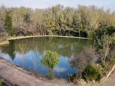 Farm For Sale in Walkerville - wf09.webp