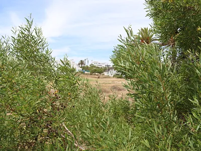 Vacant Land For Sale in St Helena Bay - ccjD.webp