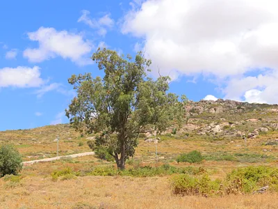 Vacant Land For Sale in St Helena Bay - lCnQ.webp