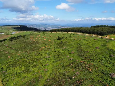 Vacant Land For Sale in Hilton - faAv.webp