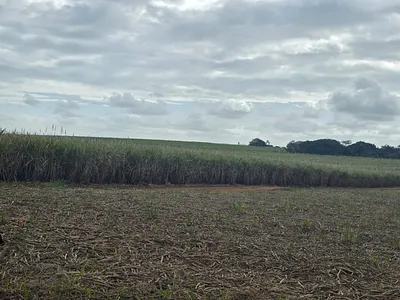 Farm For Sale in Empangeni - img