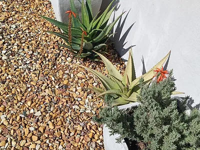 3 Bedroom House To Rent in Blouberg - FB6E.webp