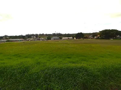 Vacant Land For Sale in Albertinia - JRb9.webp
