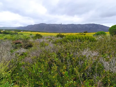 Vacant Land For Sale in Gansbaai - A5jm.webp