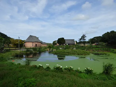 3 Bedroom Townhouse For Sale in Port Alfred - iC3L.webp