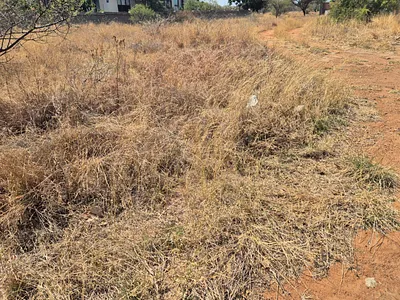 Vacant Land For Sale in Polokwane - img