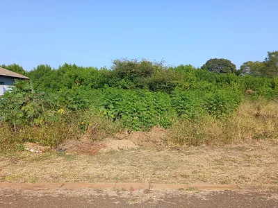 Vacant Land For Sale in Malelane - ITiS.webp