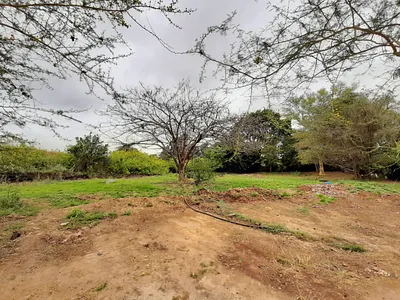 Vacant Land For Sale in Malelane - y1wc.webp