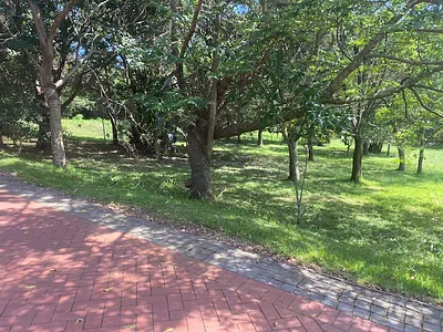 Vacant Land For Sale in Pennington - img