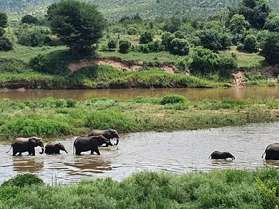 Vacant Land For Sale in Malelane - jbf0.webp