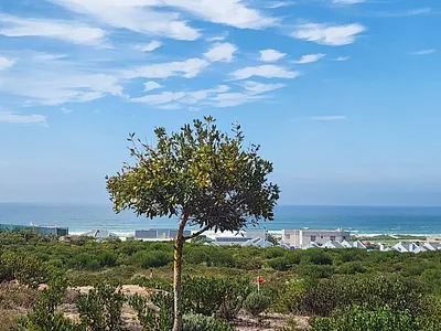 Vacant Land For Sale in Stilbaai East, Stilbaai - 1yln.webp