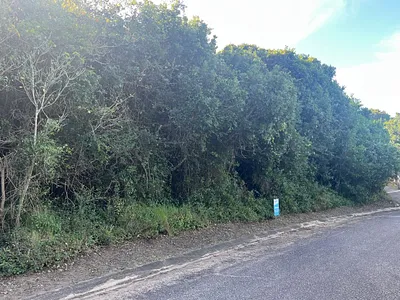 Vacant Land For Sale in Kleinemonde - img