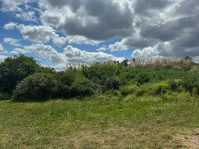 Vacant Land For Sale in Hermanus - img