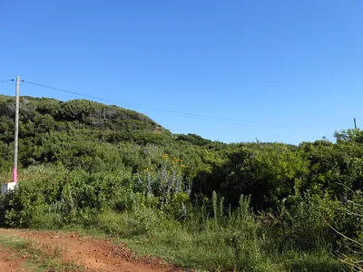 Vacant Land For Sale in Oyster Bay - Uk6N.webp