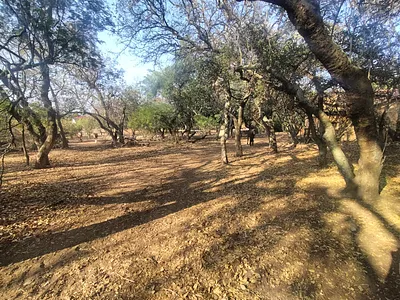 Farm For Sale in Akasia - Ek2j.webp