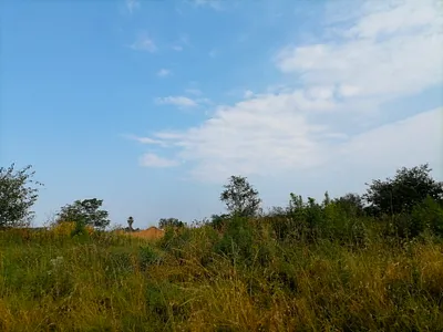 Vacant Land For Sale in Vereeniging - dJDp.webp