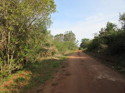 Vacant Land For Sale in Bathurst - 0ux1.webp