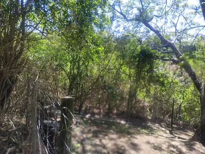Vacant Land For Sale in East London - Rwfv.webp