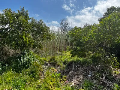 Vacant Land For Sale in Bettys Bay - img