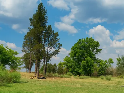 Vacant Land For Sale in Meyerton - qNpm.webp