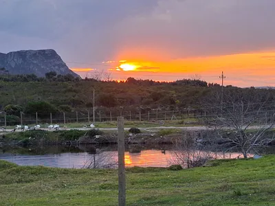 Farm For Sale in Gansbaai - zFG3.webp