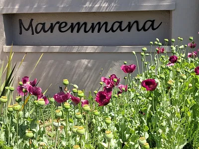 3 Bedroom House For Sale in Bot River - wkIQ.webp