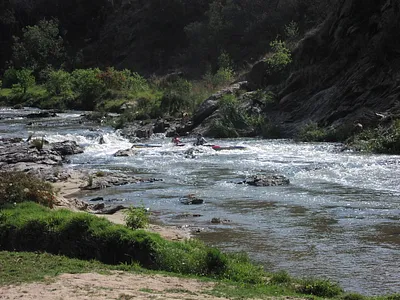 Farm For Sale in Randburg - V6CE.webp