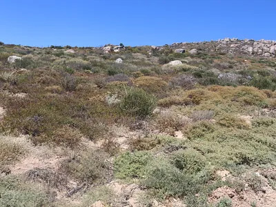 Vacant Land For Sale in St Helena Bay - 1LEW.webp