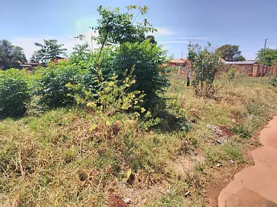 Vacant Land For Sale in Koster - lHHz.webp