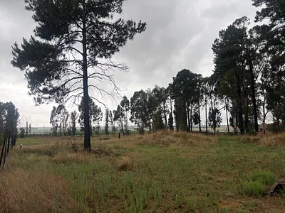 Vacant Land For Sale in Witbank - WfzA.webp
