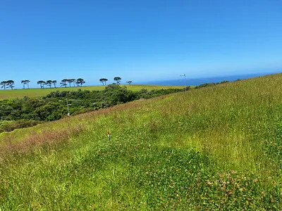 Vacant Land For Sale in George - OA2Y.webp