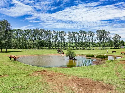 Farm For Sale in Howick - sOqv.webp