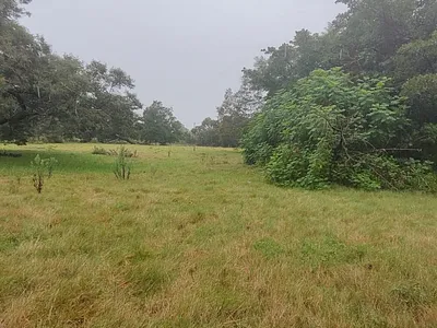 Farm For Sale in Port Elizabeth - hkgg.webp