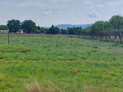 Vacant Land For Sale in Memel - BFbv.webp