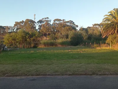 Vacant Land For Sale in Albertinia - img