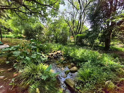 3 Bedroom House For Sale in Hilton - bSXC.webp