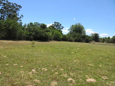 Vacant Land For Sale in Bathurst - hwDP.webp