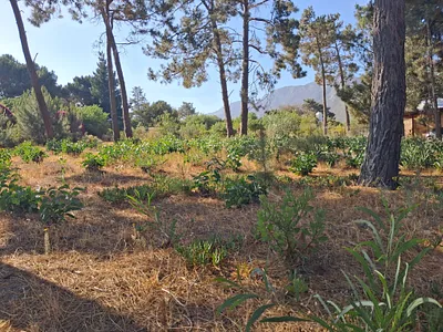 Vacant Land For Sale in Bot River - s46N.webp