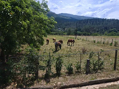 Vacant Land For Sale in Swellendam - etWx.webp