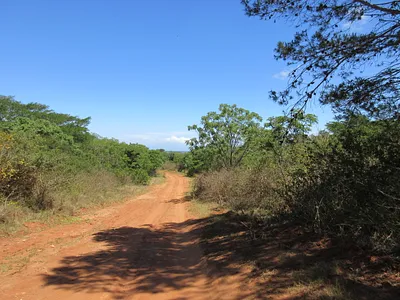 Vacant Land For Sale in Bathurst - zEwc.webp