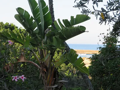 Vacant Land For Sale in Port Alfred - d2Tl.webp