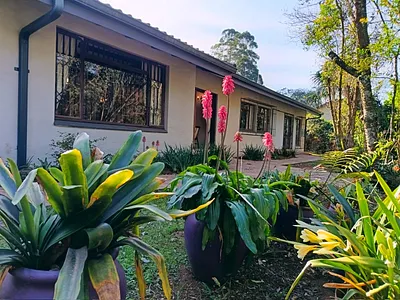 3 Bedroom House To Rent in Hilton - 8jmU.webp