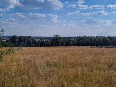 Vacant Land For Sale in Eikenhof - 1FLv.webp